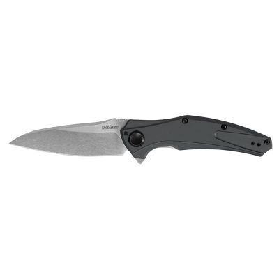 Kershaw Knife Barenuckle 3.5" Blade