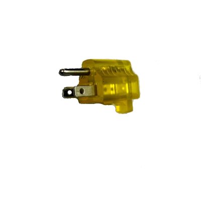 Plug light