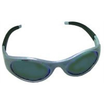 Safety Glasses, High Impact, Silver Frames/Shaded Lens