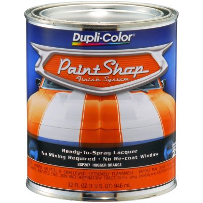 Paint Shop Hugger Orange