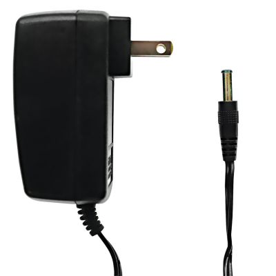 110V Charger with Small Jack