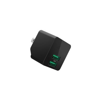 Mountain Double USB Wall Charger 2.4A Super Small with Energy Efficiency, Level 6