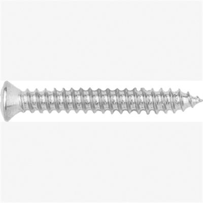 Phillips Oval Head Sheet Metal Screws Size: 8 x 1-1/4", Head Size: #6, Finish: Chrome, Qty: 100