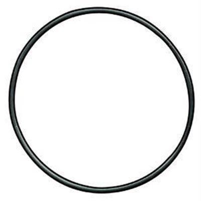 O-Ring Head Mini-Mag AA