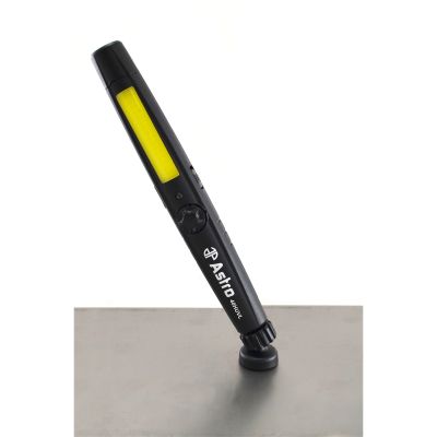 Handheld Light with UV Flashlight