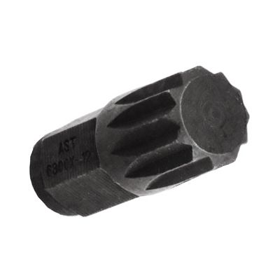 12Mm 12Pt Bit