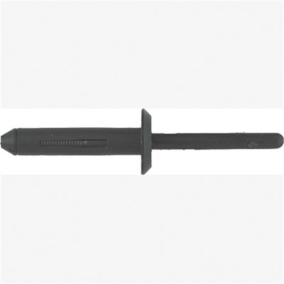 Blk Nyl Blind Rivets Chry