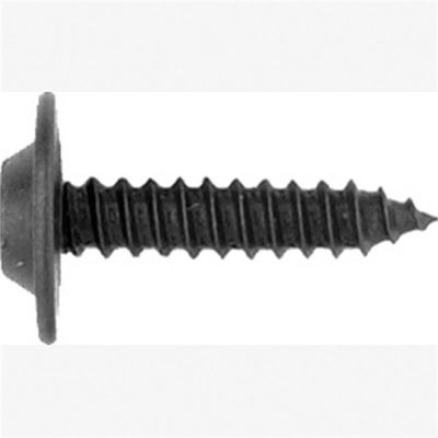 ABD6333 image(0) - Ph Black Trim Screw 10  Pc.