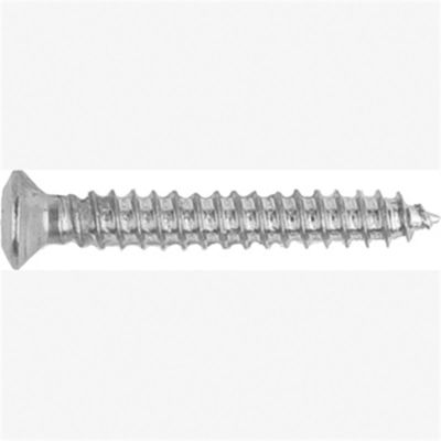 ABD6325 image(0) - Met Torx Tim Screws-GM 10 Pc