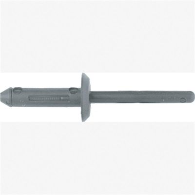 ABD6503B image(0) - Blk Nyl Blind Rivets GM 100 Pc