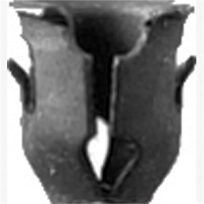ABD6250B image(0) - Barrel Nuts Black Ford 100 Pc