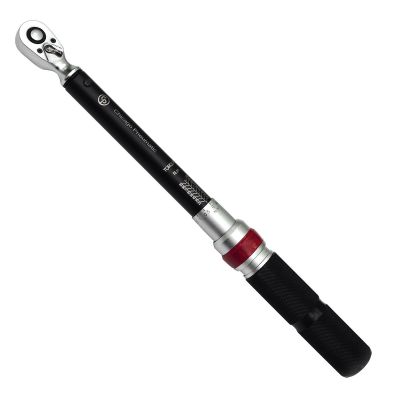 CPTCP8910E image(0) - CP8910E 3/8" Torque Wrench - 20-100 Nm