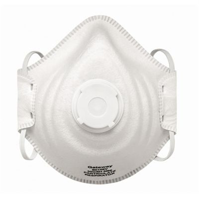 GWS80102V image(0) - Vented, N95 - Standard Protect