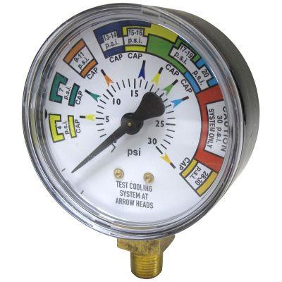 STN12702 image(0) - 30LB REPLACEMENT GAUGE (PT270-