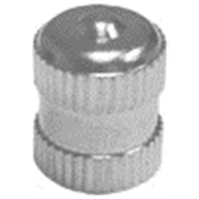 TMRTI103-100 image(0) - 100-pk of Long Metal Dome Tire Valve Cap with Seal