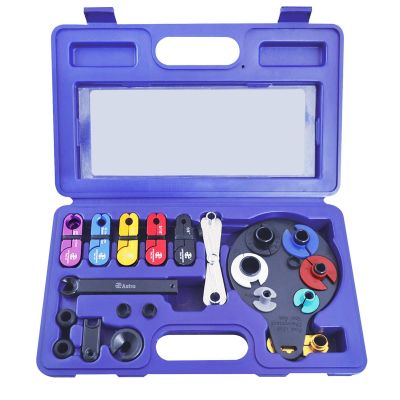 AST78930 image(0) - 15PC MASTER DISCONNECT KIT