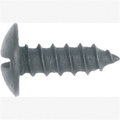 ABD6217B image(0) - Lic Plt Scrw Sltd Truss Hd Blk