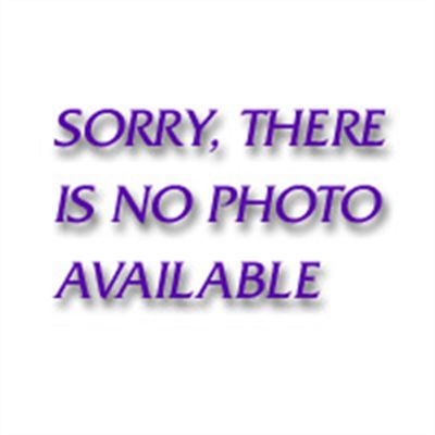 KDT81099XP image(0) - 1/4" Non-Quick Release Ratchet Repair Kit (dual pa
