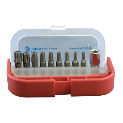 ASS3900 image(0) - 5PT TAMPER PROOF BITS T10-T50