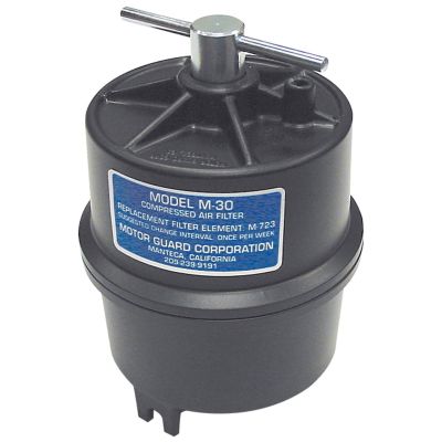 JLMM30 image(0) - FILTER AIR 1/4 NPT