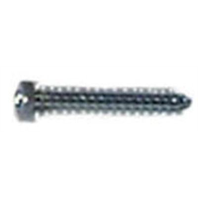 SGT81012 image(0) - SCREW DENT PULL REPL