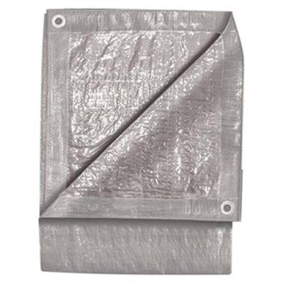 GYM6325 image(0) - 10' x 20' Silver Tarp