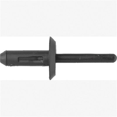 ABD6509B image(0) - Blk Nyl Blind Rivets GM 100 Pc