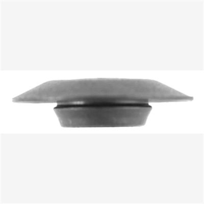 ABD6929 image(0) - Flush-type Blk Plast Hole Plug