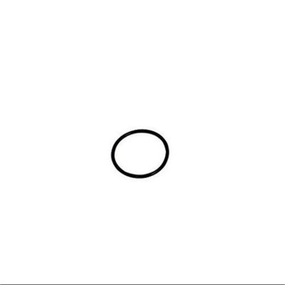 LIS34490 image(0) - "LG. ""O"" RING"