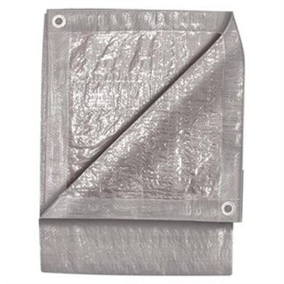 GYM6406 image(0) - 30' x 30' Silver Tarp